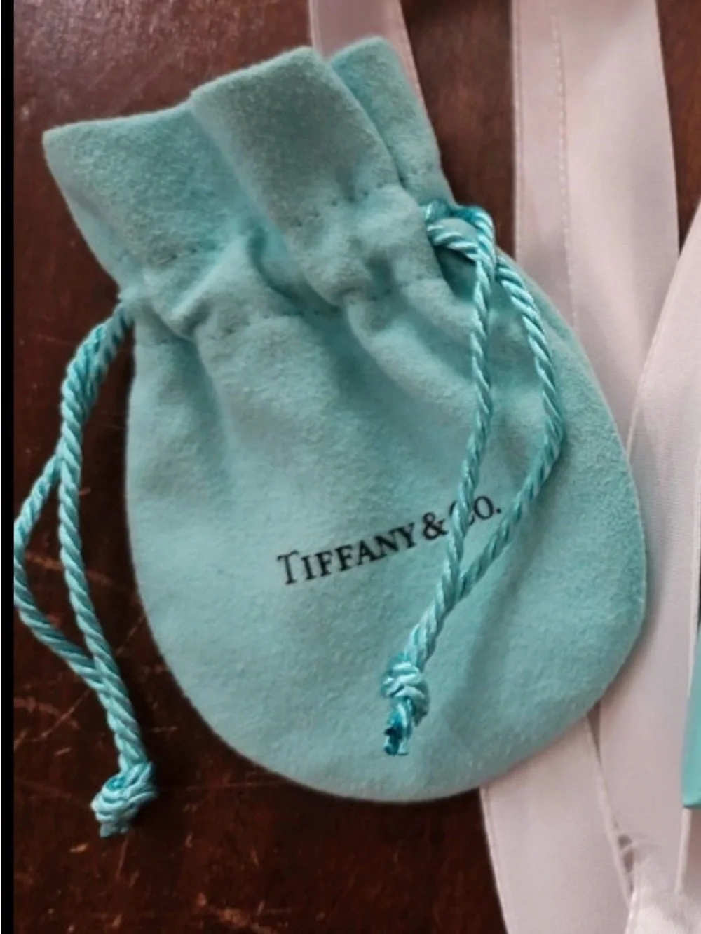 Tiffany & Co. Signature Robin's Egg Blue Velvet Drawstring Pouch